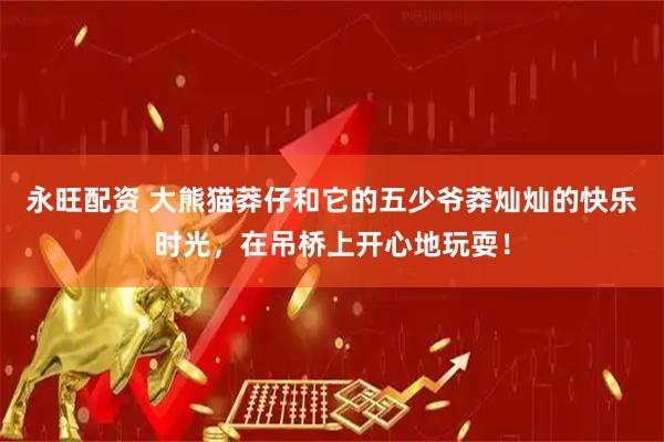 永旺配资 大熊猫莽仔和它的五少爷莽灿灿的快乐时光，在吊桥上开心地玩耍！