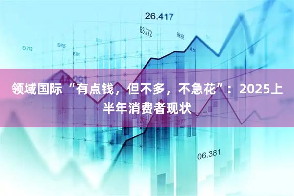领域国际 “有点钱，但不多，不急花”：2025上半年消费者现状